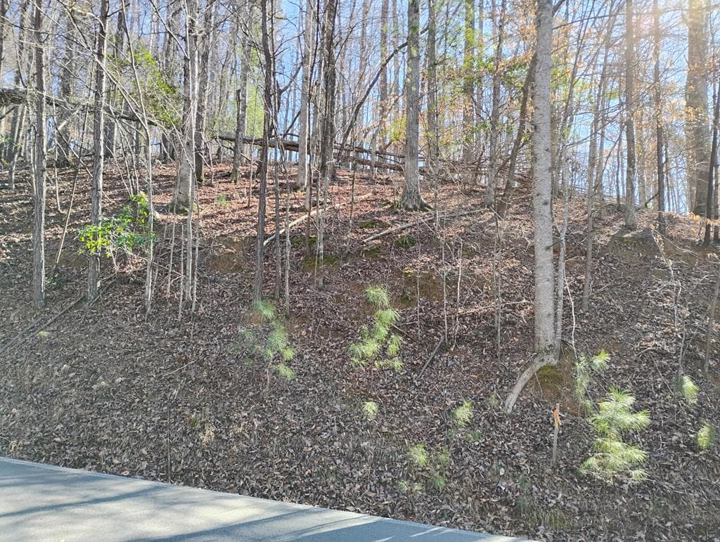 Lt 2090R Newport Drive, Ellijay GA 30540 - Primary photo