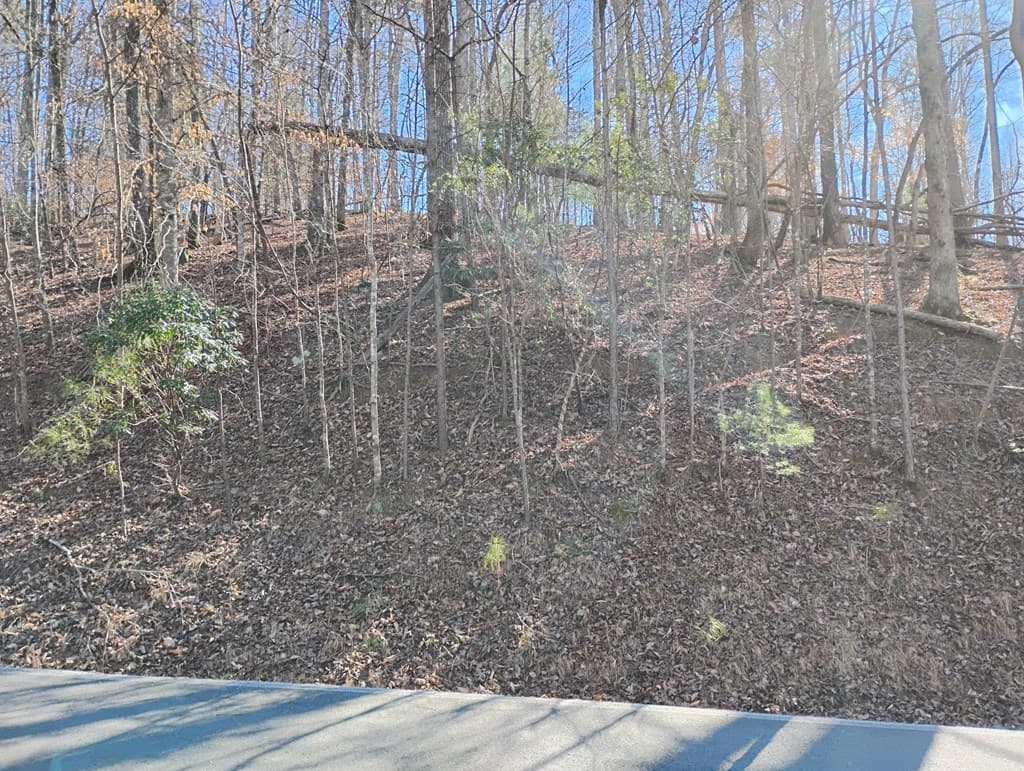Lt 2090R Newport Drive, Ellijay GA 30540 - Photo