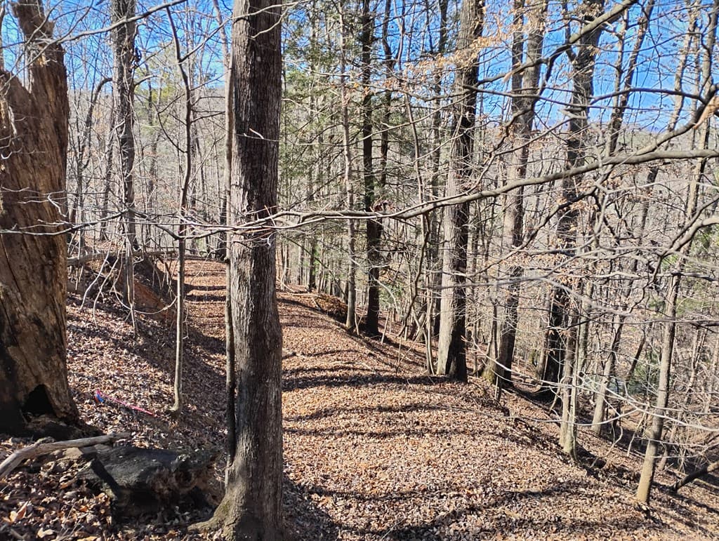 Lt 2090R Newport Drive, Ellijay GA 30540 - Photo