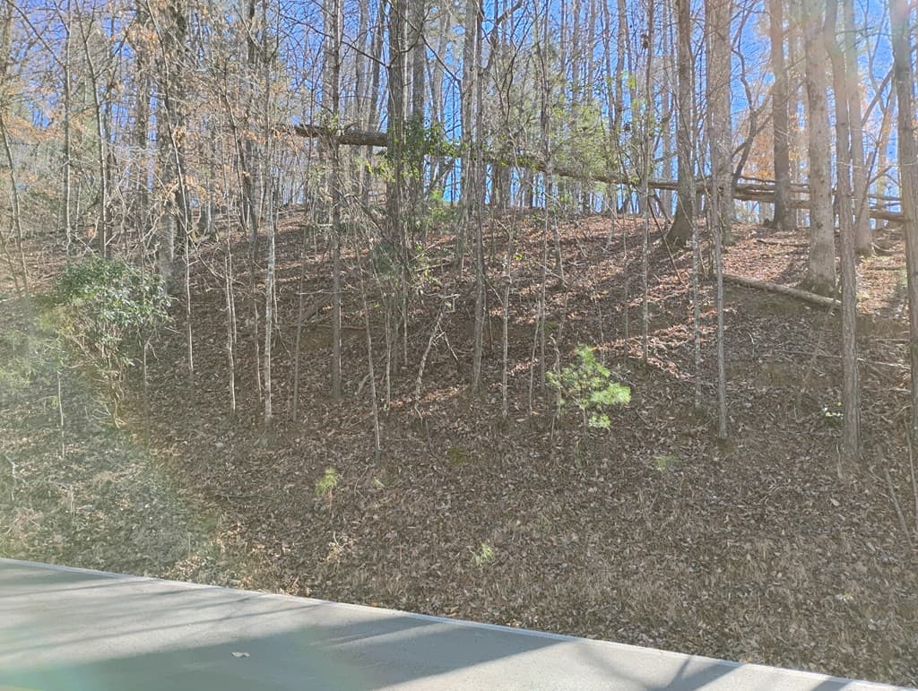 Lt 2090R Newport Drive, Ellijay GA 30540 - Photo