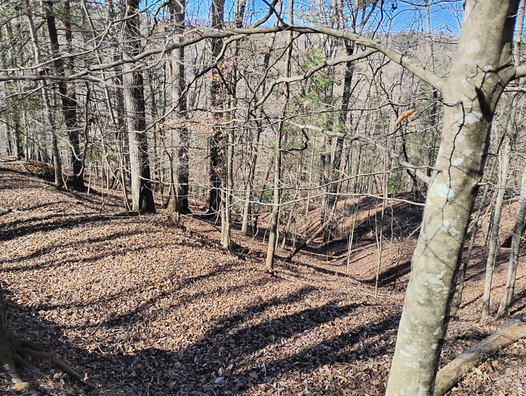 Lt 2090R Newport Drive, Ellijay GA 30540 - Photo