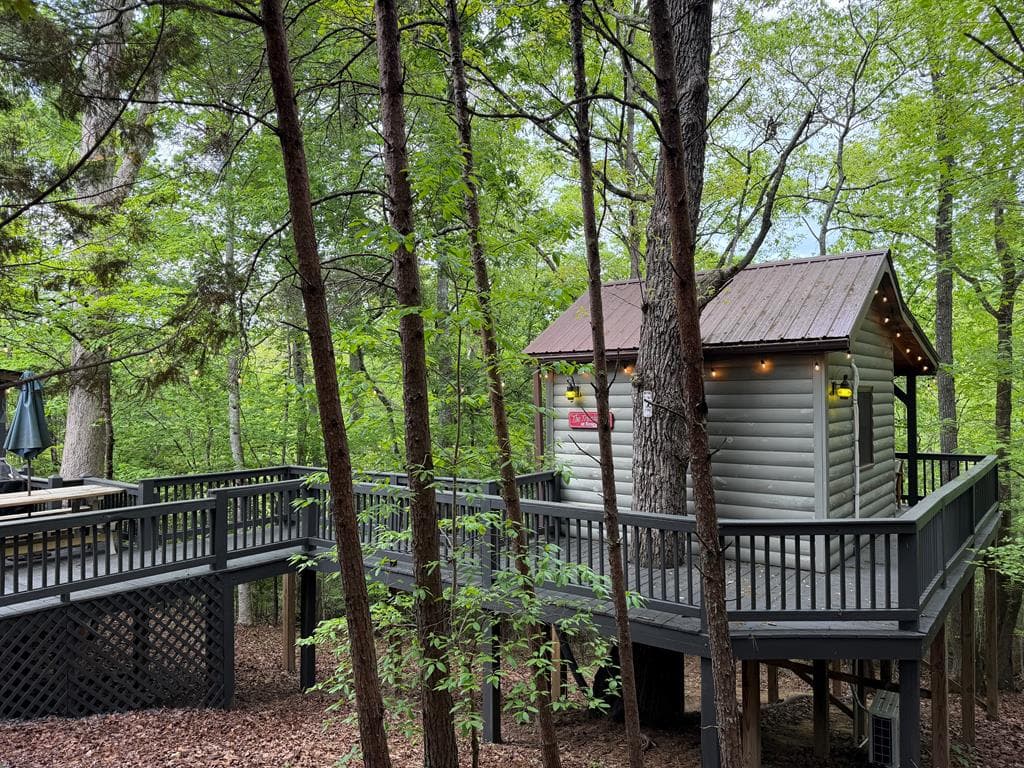 290 Turkey Trot, Morganton GA 30560 - Photo