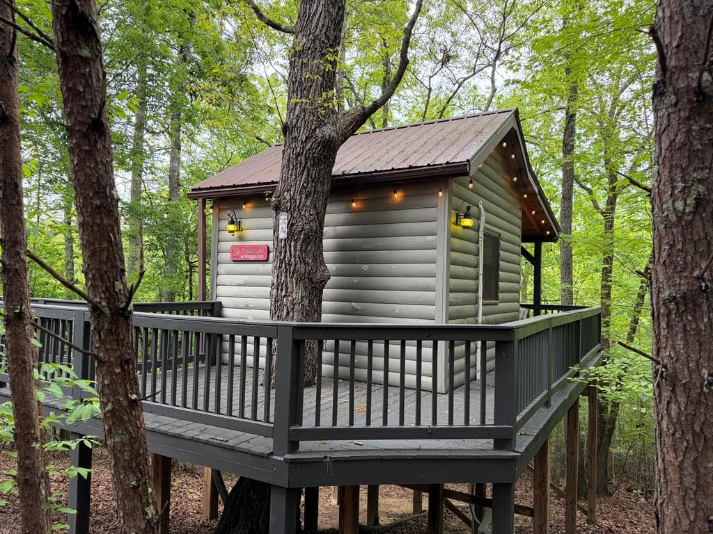290 Turkey Trot, Morganton GA 30560 - Photo