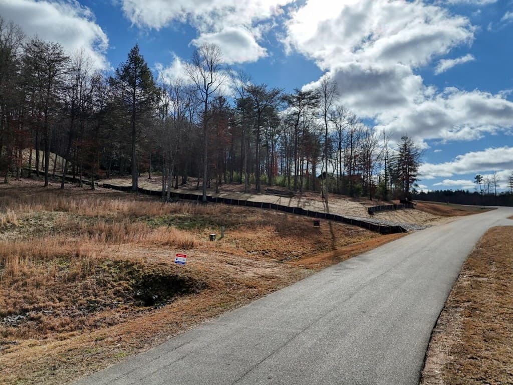 lot 37 New Water Way, Blairsville GA 30512 - Photo