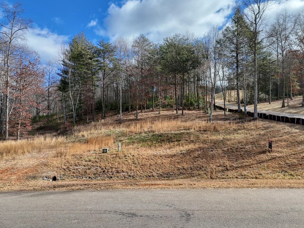 lot 37 New Water Way, Blairsville GA 30512 - Photo