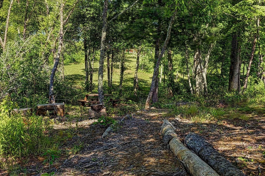 lot 44 Bayside Lane, Blairsville GA 30512 - Photo