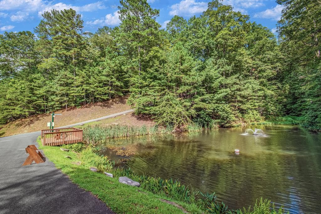 Lot 103R Mountain Creek Hollow Drive, Talking Rock GA 30175 - Photo