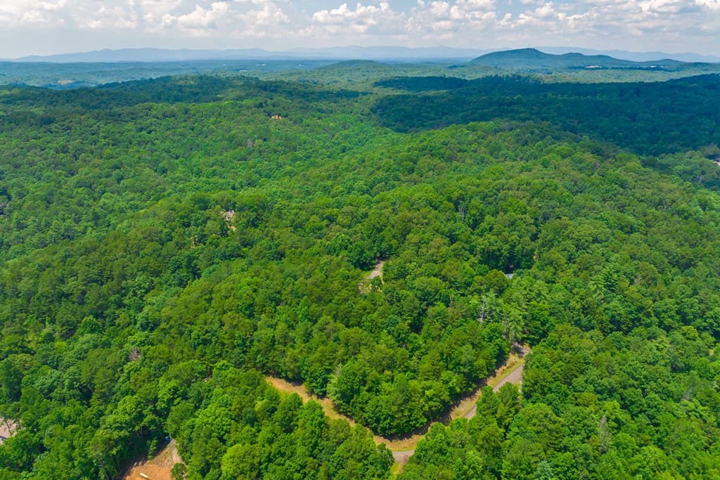 Lot 103R Mountain Creek Hollow Drive, Talking Rock GA 30175 - Photo