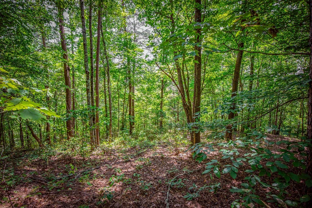 Lot 103R Mountain Creek Hollow Drive, Talking Rock GA 30175 - Photo