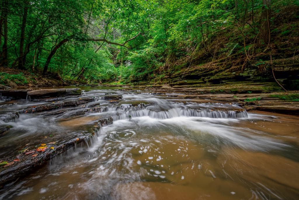 Lot 103R Mountain Creek Hollow Drive, Talking Rock GA 30175 - Photo