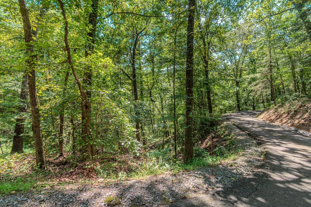 Lot 103R Mountain Creek Hollow Drive, Talking Rock GA 30175 - Photo