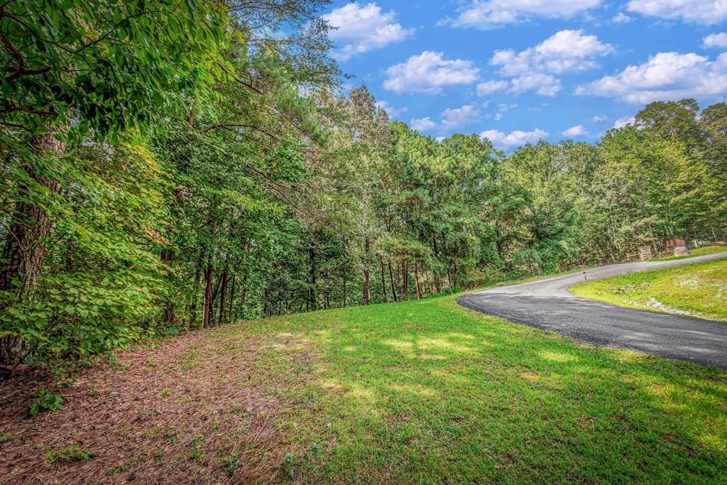Lot 104 Mountain Creek Hollow Drive, Talking Rock GA 30175 - Photo