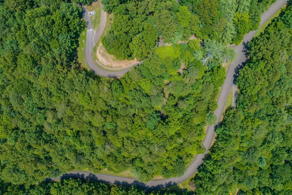 Lot 104 Mountain Creek Hollow Drive, Talking Rock GA 30175 - Photo