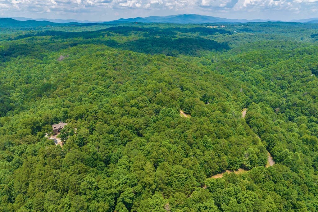 Lot 104 Mountain Creek Hollow Drive, Talking Rock GA 30175 - Photo