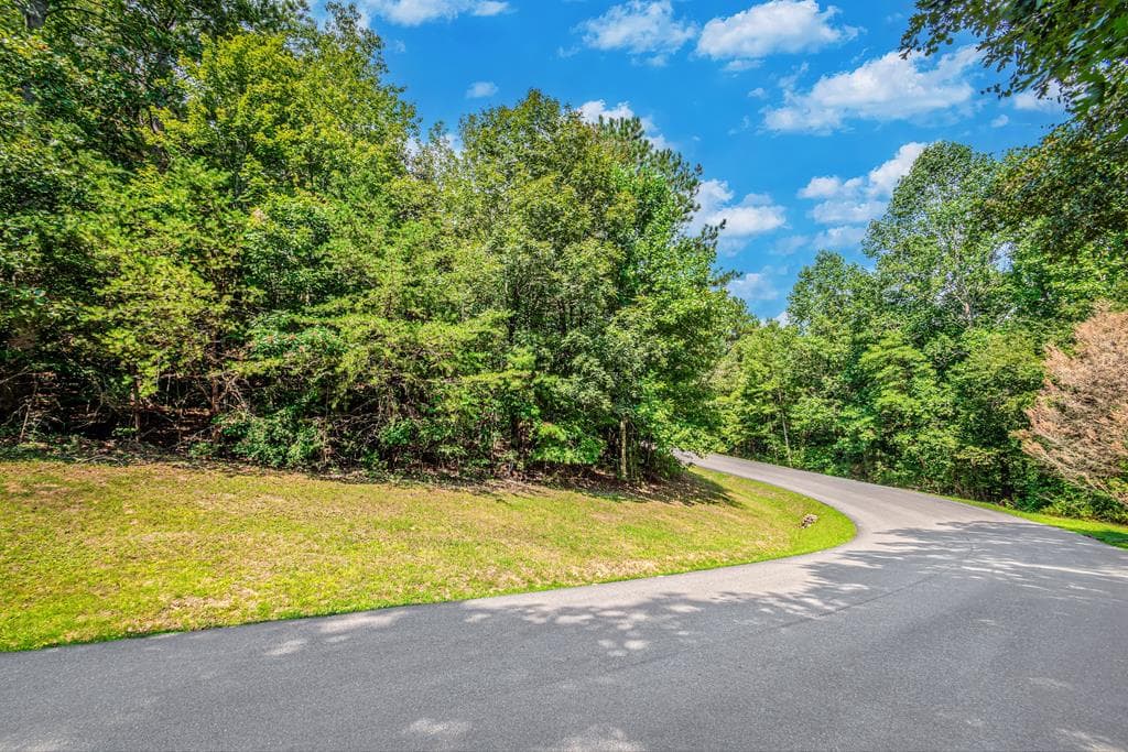 Lot 104 Mountain Creek Hollow Drive, Talking Rock GA 30175 - Primary photo