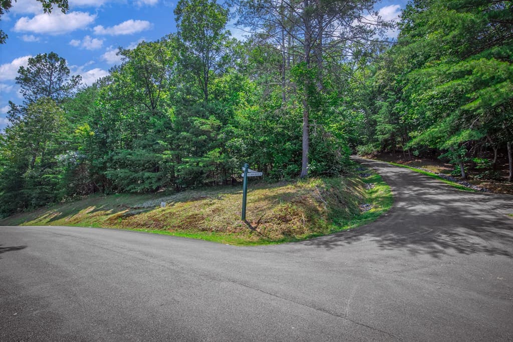 Lot 104 Mountain Creek Hollow Drive, Talking Rock GA 30175 - Photo
