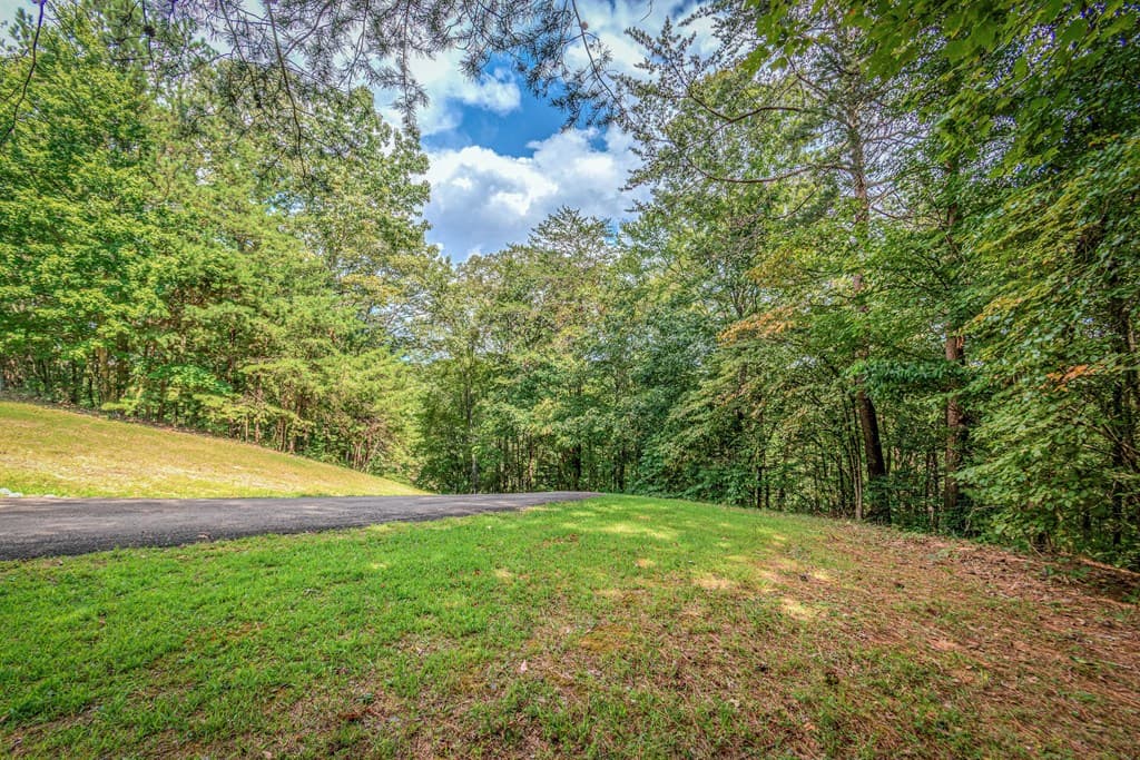 Lot 104 Mountain Creek Hollow Drive, Talking Rock GA 30175 - Photo