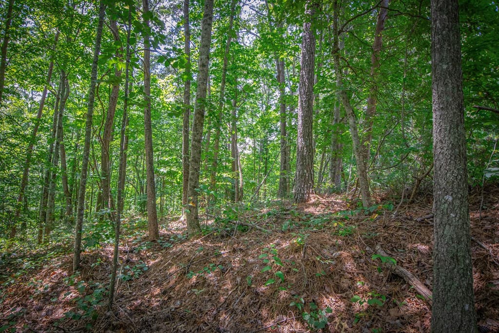 Lot 104 Mountain Creek Hollow Drive, Talking Rock GA 30175 - Photo
