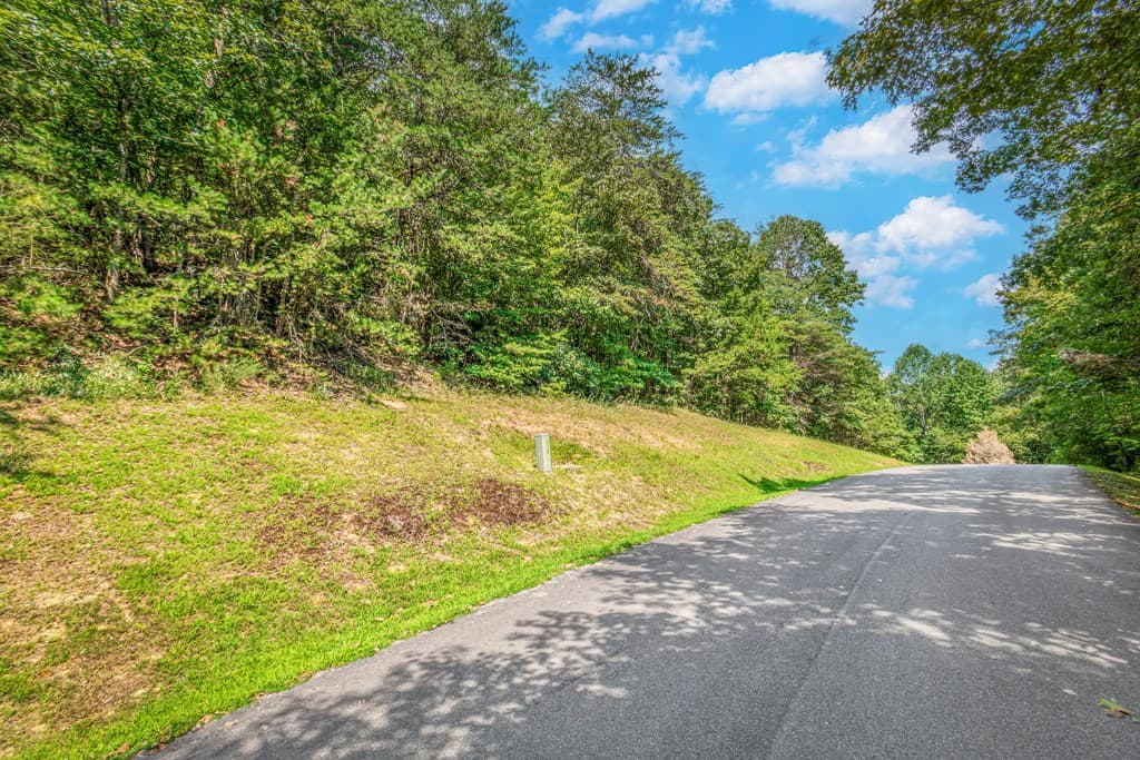 Lot 104 Mountain Creek Hollow Drive, Talking Rock GA 30175 - Photo