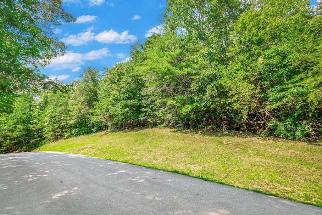 Lot 104 Mountain Creek Hollow Drive, Talking Rock GA 30175 - Photo