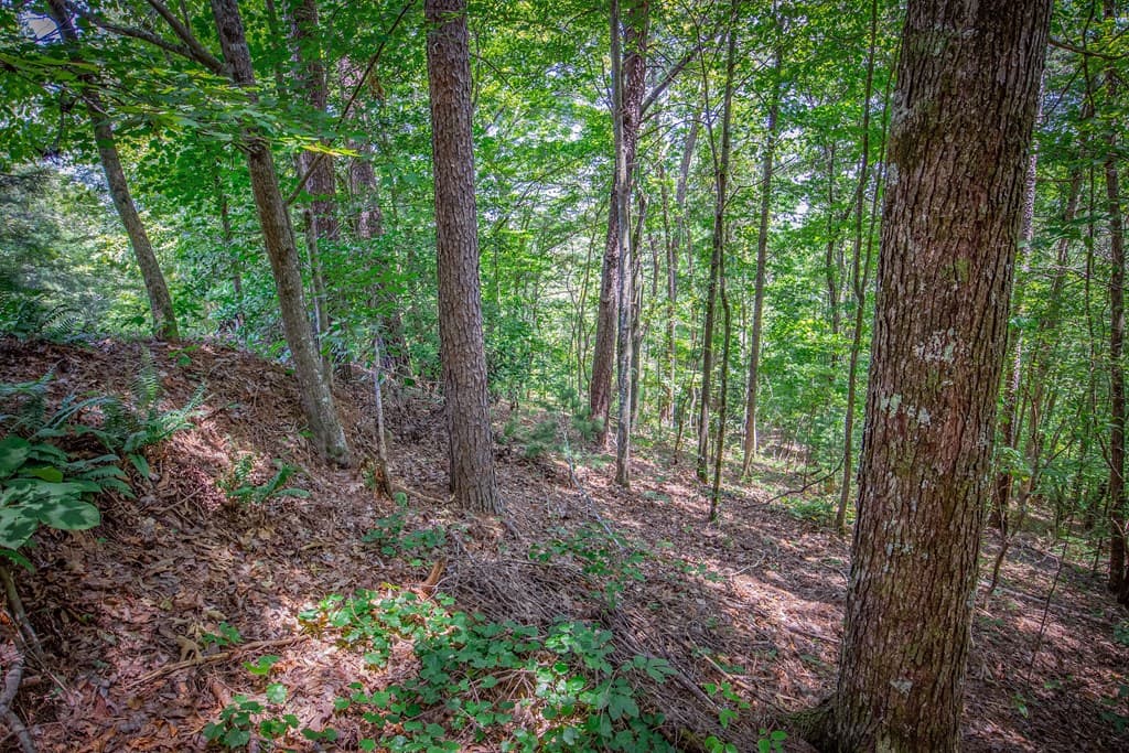 Lot 104 Mountain Creek Hollow Drive, Talking Rock GA 30175 - Photo