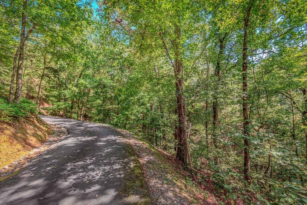 4.7AC Mountain Creek Hollow Drive, Talking Rock GA 30175 - Photo