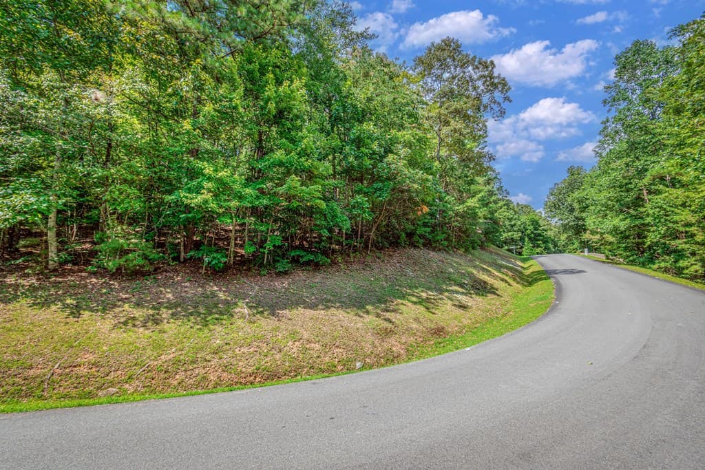 4.7AC Mountain Creek Hollow Drive, Talking Rock GA 30175 - Photo