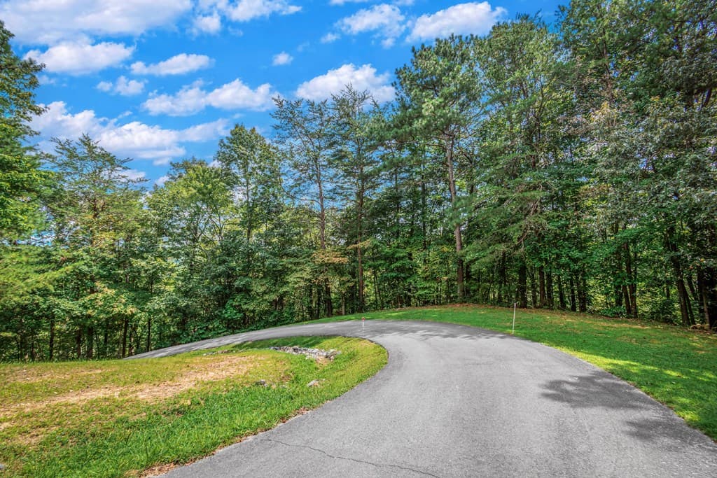 4.7AC Mountain Creek Hollow Drive, Talking Rock GA 30175 - Photo