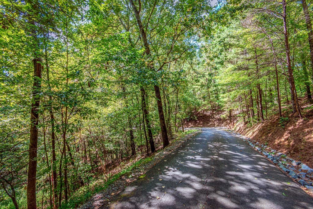 4.7AC Mountain Creek Hollow Drive, Talking Rock GA 30175 - Photo
