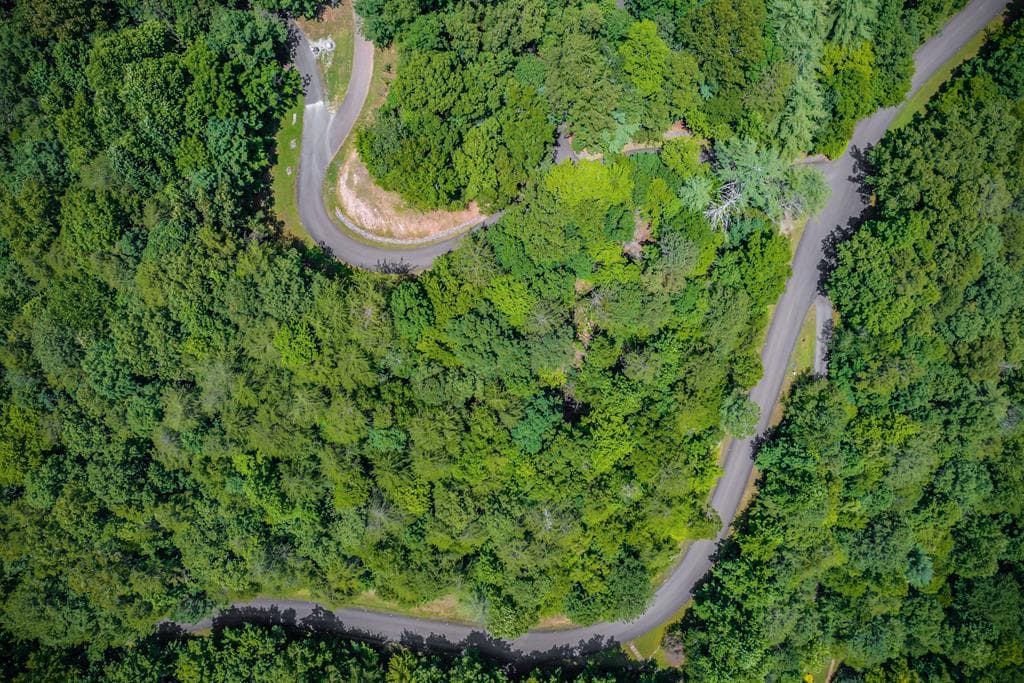 4.7AC Mountain Creek Hollow Drive, Talking Rock GA 30175 - Photo