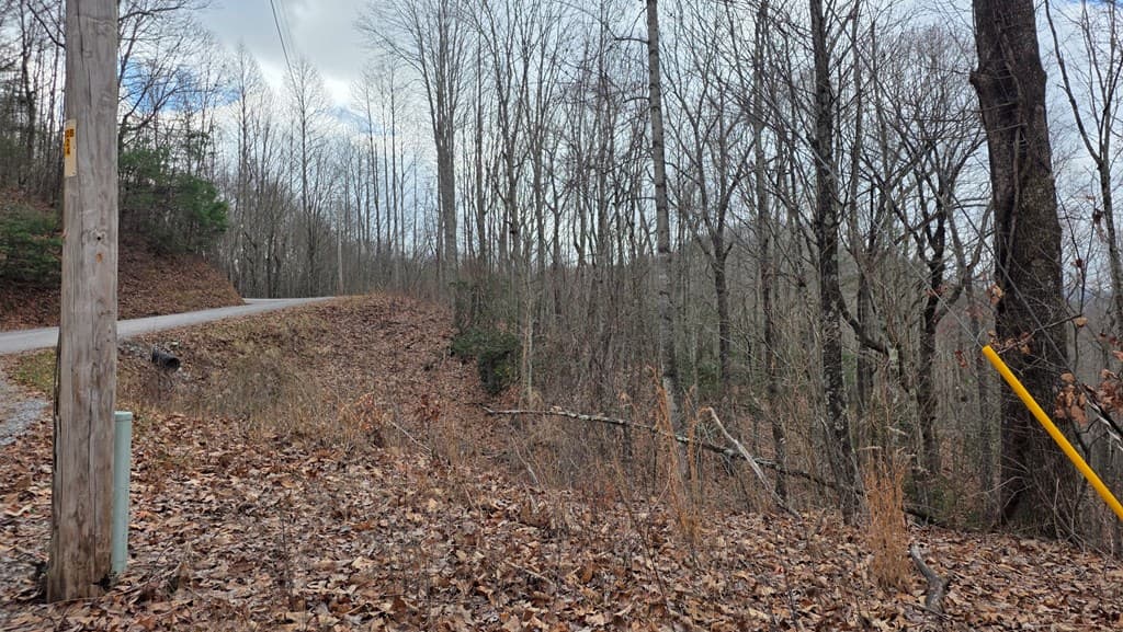 35AC Ducks Nest Road, Turtletown TN 37391 - Photo