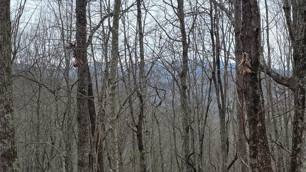 35AC Ducks Nest Road, Turtletown TN 37391 - Photo
