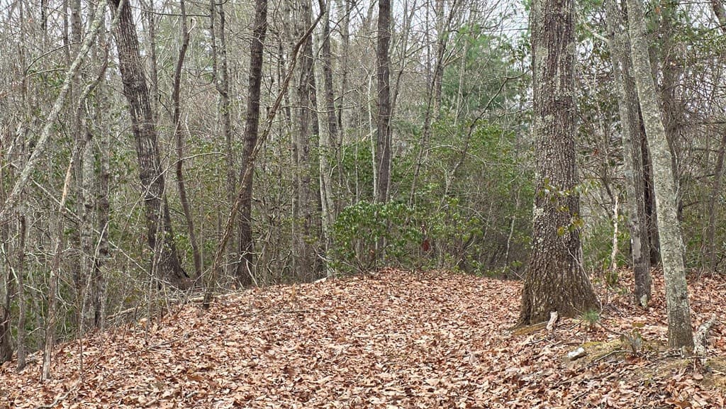 35AC Ducks Nest Road, Turtletown TN 37391 - Photo