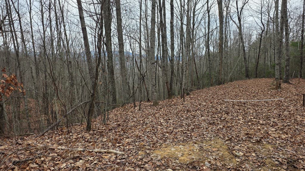 35AC Ducks Nest Road, Turtletown TN 37391 - Photo