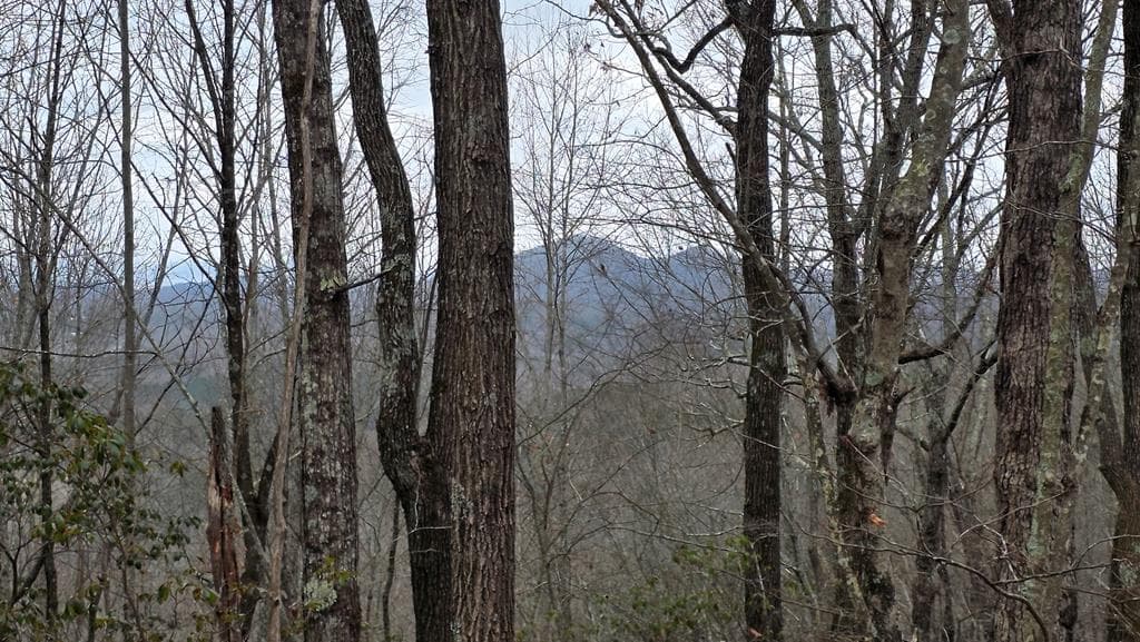 35AC Ducks Nest Road, Turtletown TN 37391 - Primary photo
