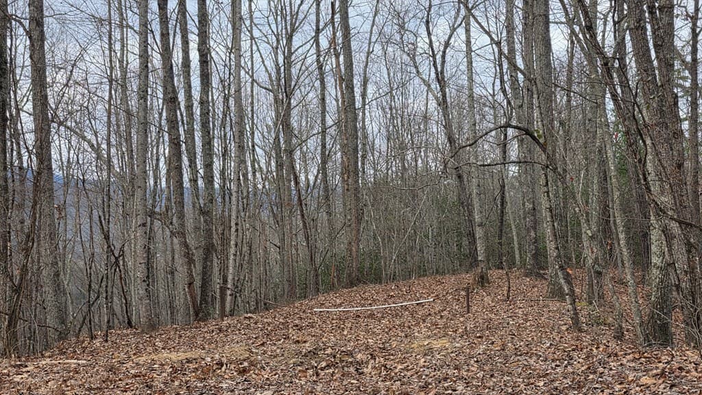 35AC Ducks Nest Road, Turtletown TN 37391 - Photo