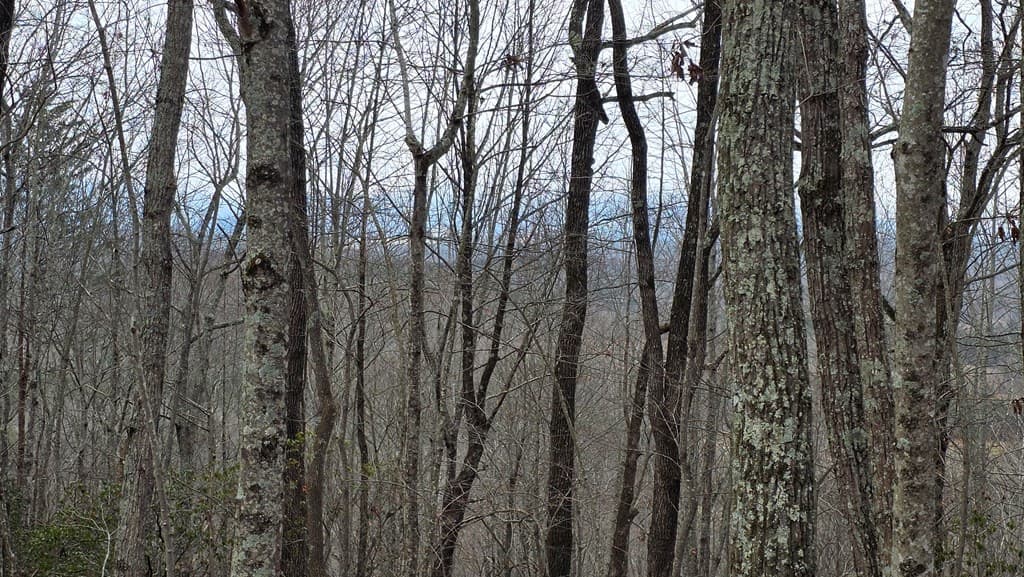 35AC Ducks Nest Road, Turtletown TN 37391 - Photo