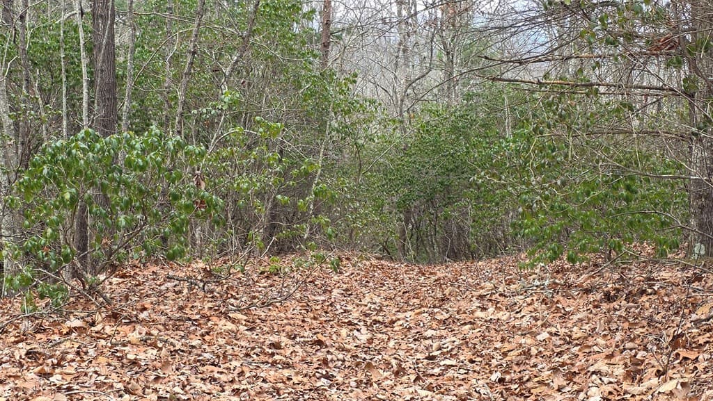 35AC Ducks Nest Road, Turtletown TN 37391 - Photo