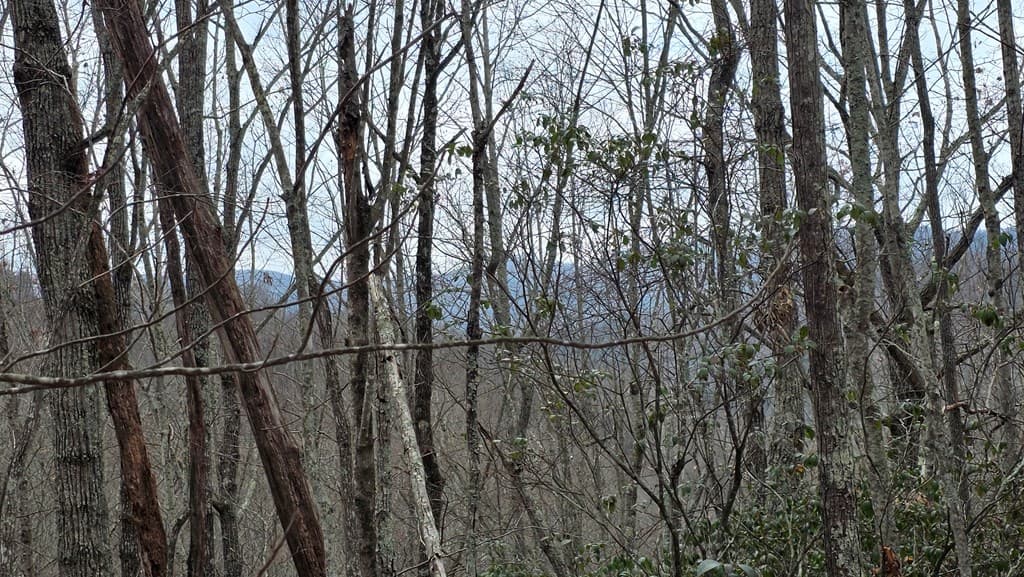 35AC Ducks Nest Road, Turtletown TN 37391 - Photo