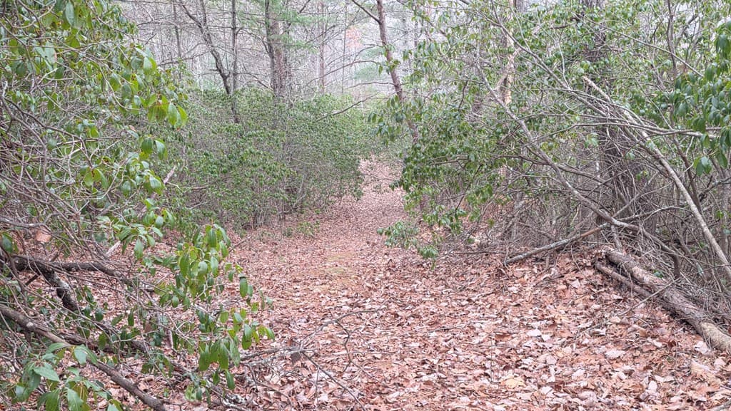 35AC Ducks Nest Road, Turtletown TN 37391 - Photo