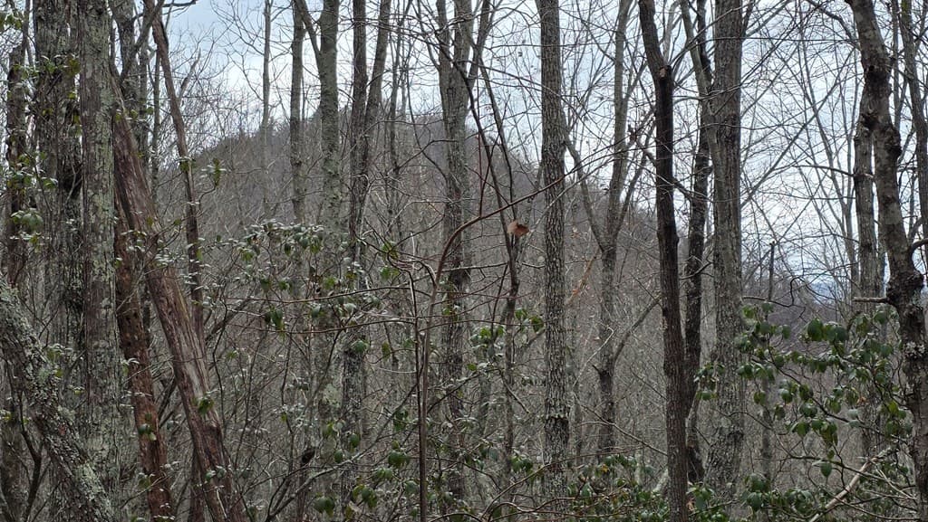 35AC Ducks Nest Road, Turtletown TN 37391 - Photo