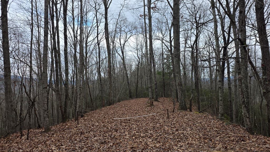 35AC Ducks Nest Road, Turtletown TN 37391 - Photo