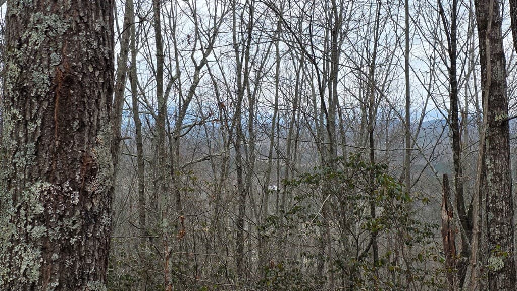 35AC Ducks Nest Road, Turtletown TN 37391 - Photo