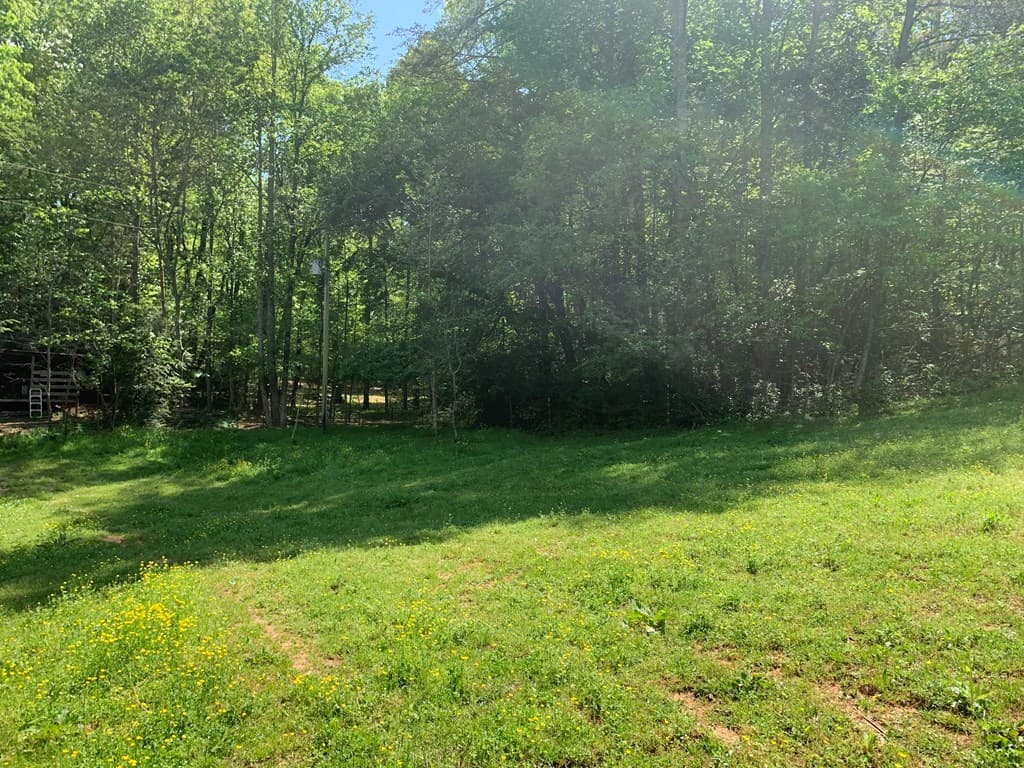 22 Old Bullen Gap Road, Blue Ridge GA 30513 - Photo