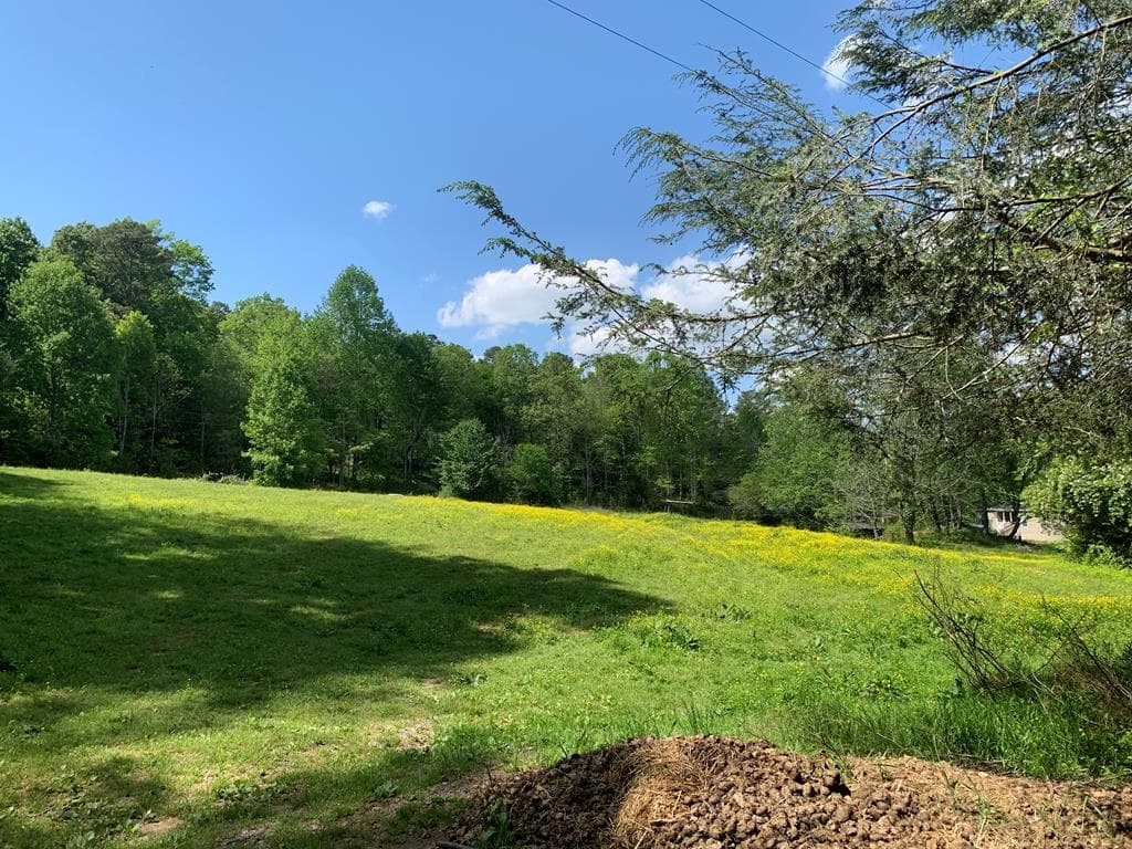 22 Old Bullen Gap Road, Blue Ridge GA 30513 - Photo