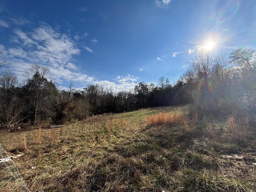 22 Old Bullen Gap Road, Blue Ridge GA 30513 - Photo