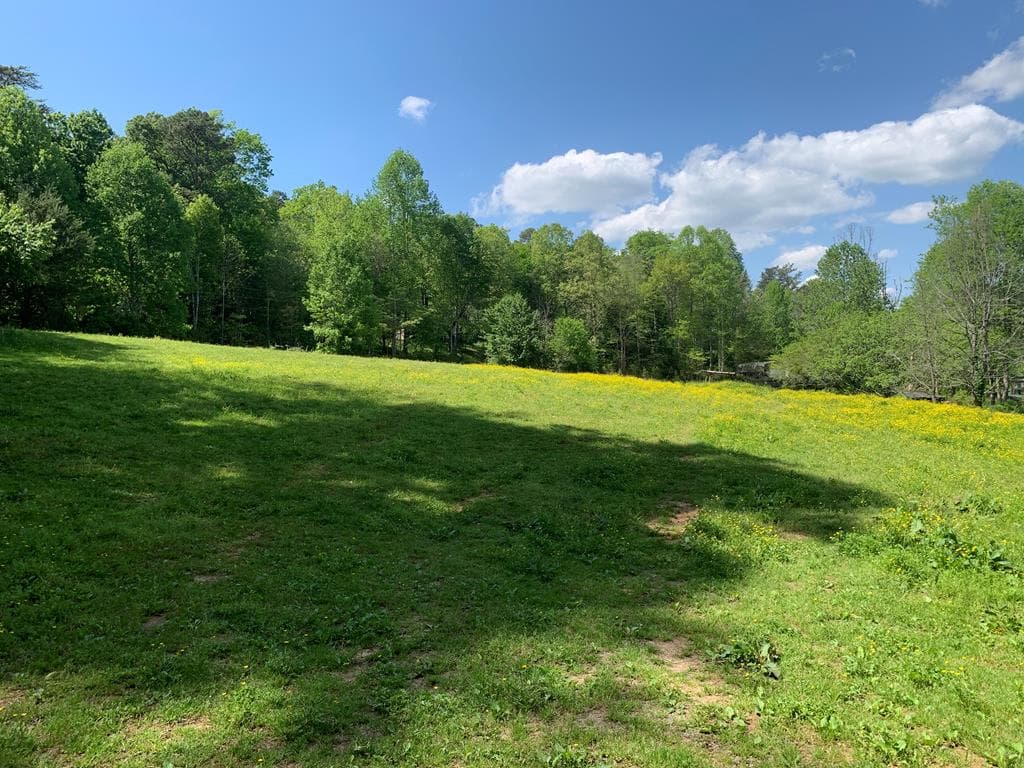 22 Old Bullen Gap Road, Blue Ridge GA 30513 - Photo
