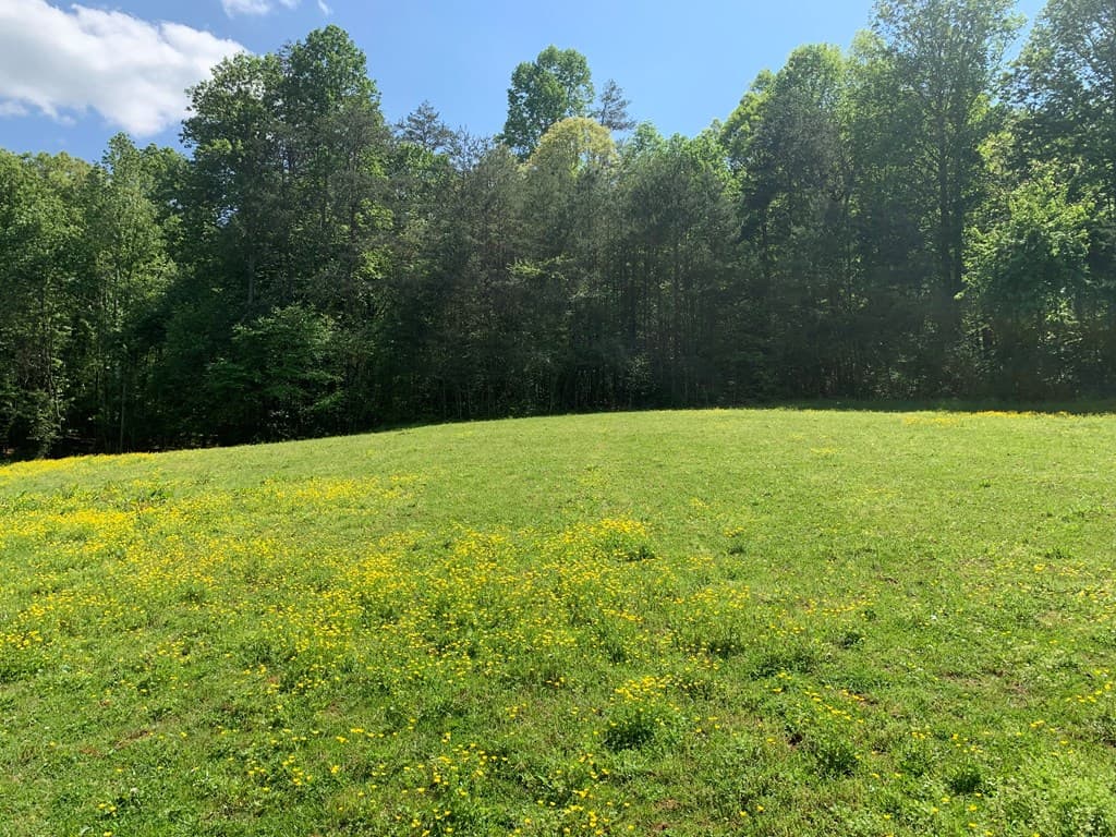 22 Old Bullen Gap Road, Blue Ridge GA 30513 - Photo