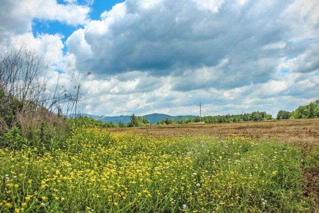 00 Hwy 64 E, Murphy NC 28906 - Primary photo