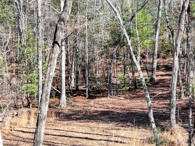 Tract 3 Mauney Circle, Blairsville GA 30512 - Photo